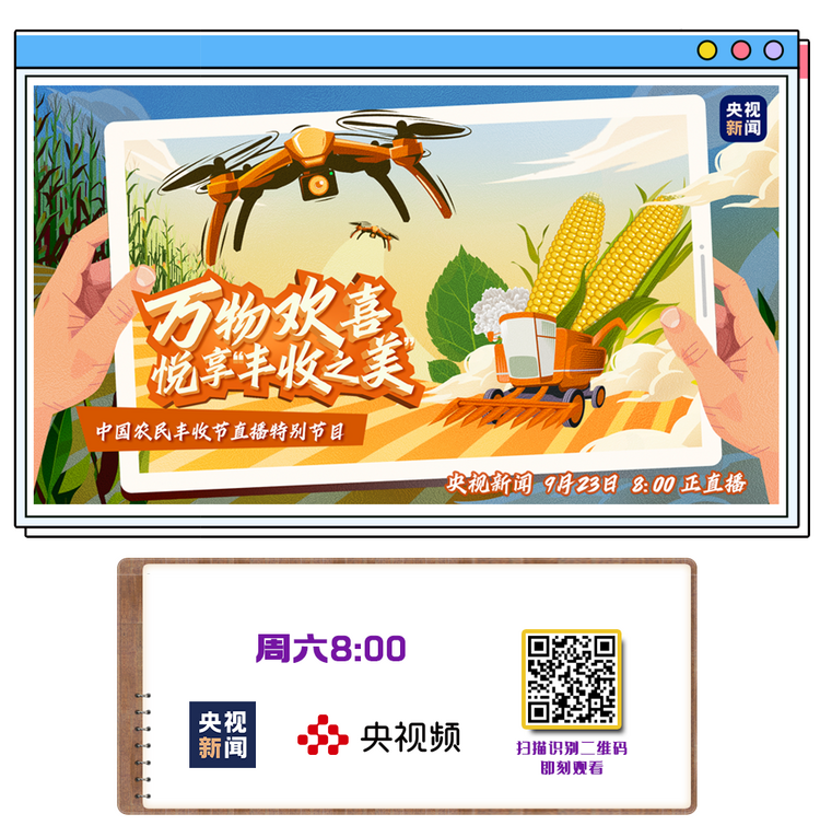 总台周末看点｜亚运！丰收！