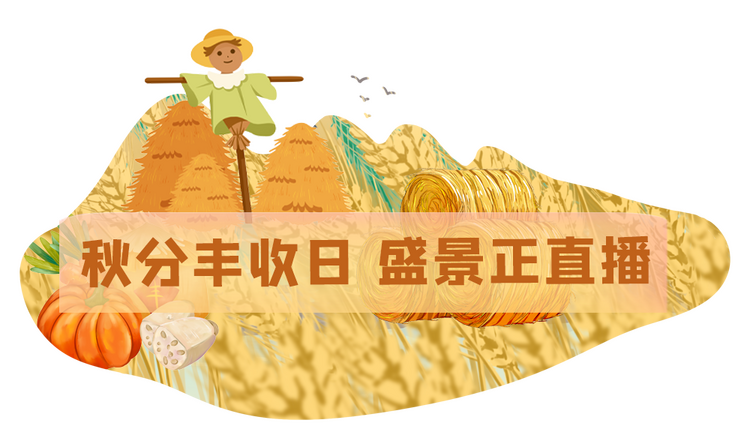 总台周末看点｜亚运！丰收！