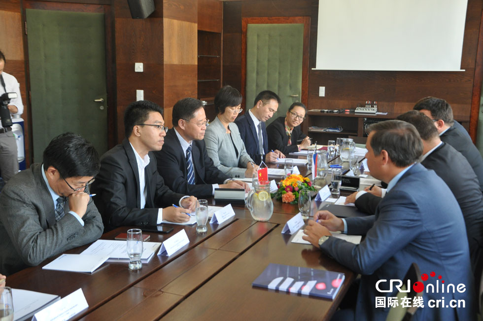 王庚年与驻捷克大使会谈:国际台和捷媒体合作成效显著-国际在线