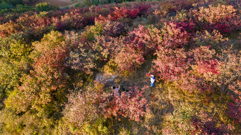 平顶山市：2023汝州第五届红叶·红色旅游文化节启动