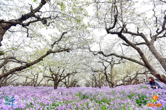 互联网+美食体验，宿迁美食寻觅微电影隆重启动