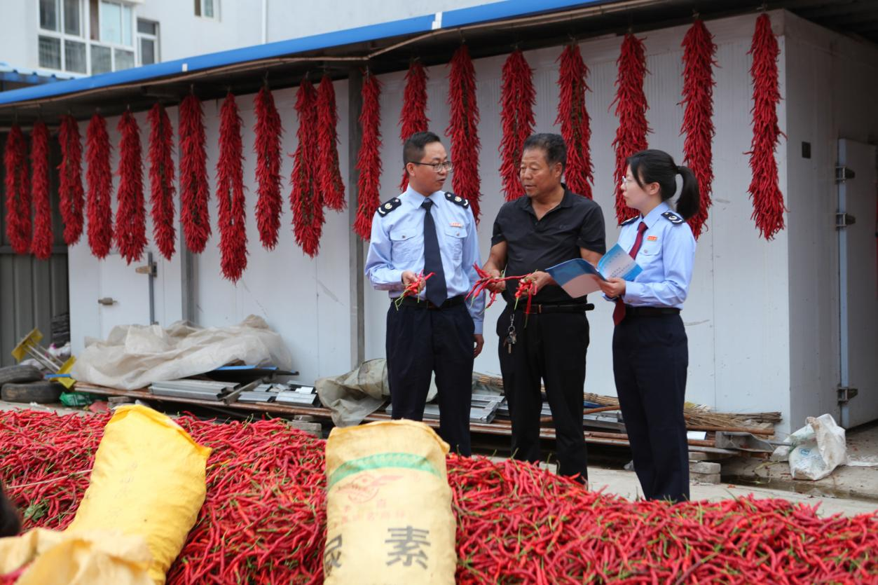 辣椒丰收香满园 税惠赋能添动力_fororder_图片1