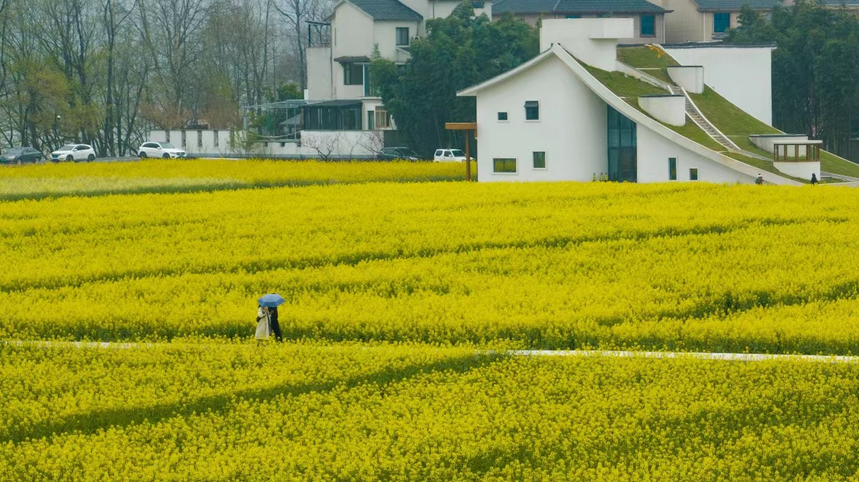 Zhejiang Tonglu: The Most Beautiful County Welcomes Its 'Highlight Moments'