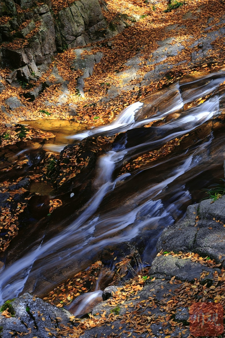 （转载）巴中：秋染光雾山，红叶如诗画