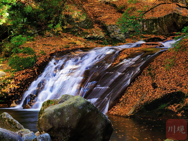 （转载）巴中：秋染光雾山，红叶如诗画