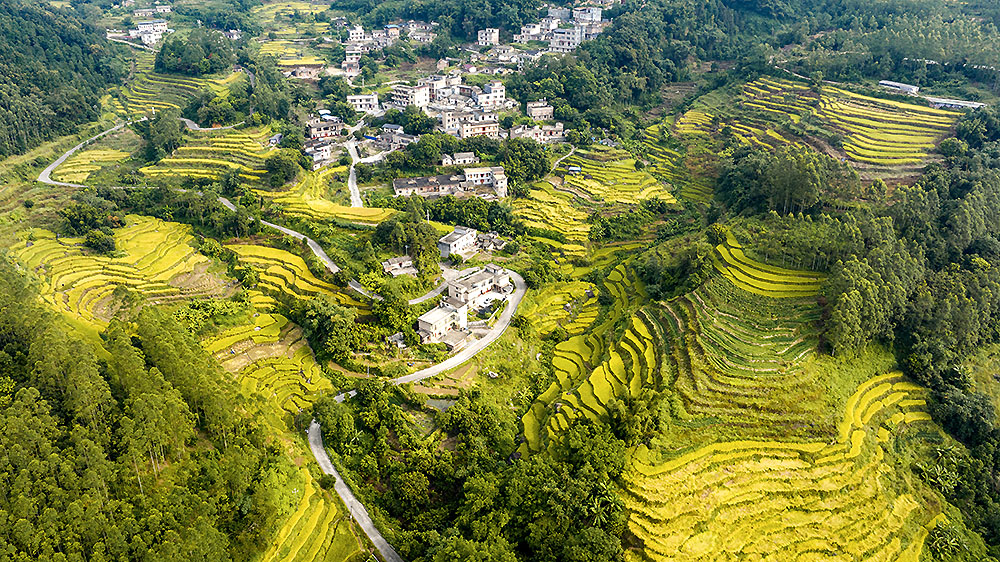 秋染梯田好“丰”景_fororder_20231024950a766847264ab89d3c5c0eb26f783f_2023102317d21267842c4c2dadcd2a11d5555eb2