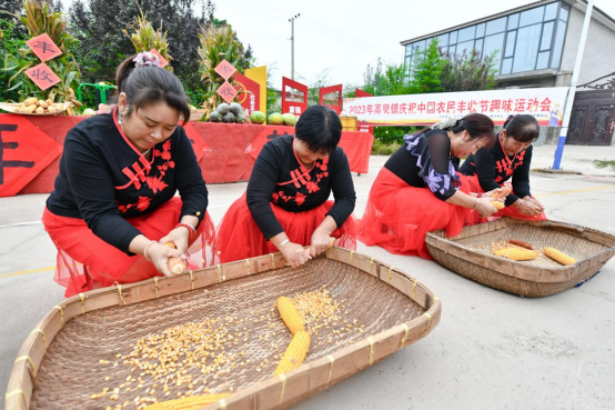 图片默认标题_fororder_邯郸冀南新区：农民趣味运动会庆丰收295