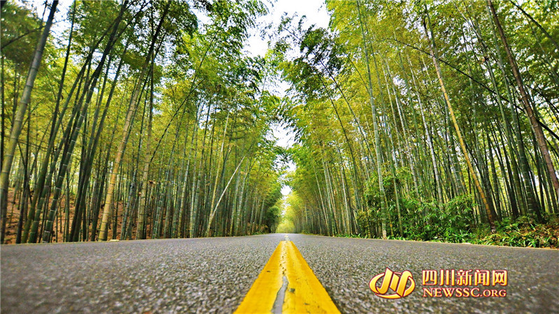 （转载）宜宾大学生文旅推荐员走进“两海”解锁两天一夜新玩法（竹海篇）_fororder_1695641224916