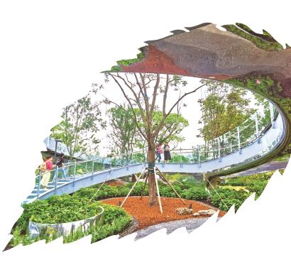 “上海大花园”揭开面纱