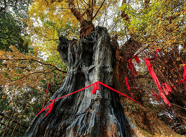 中秋国庆怎么玩 成都500余场公园绿道游园活动等你来体验_fororder_未标题-3