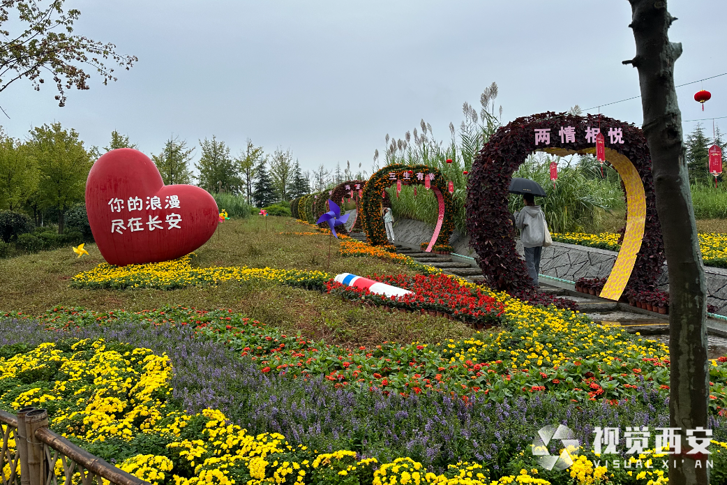 2023陕西长安花卉大会开幕 市民可近距离赏“花开盛宴”