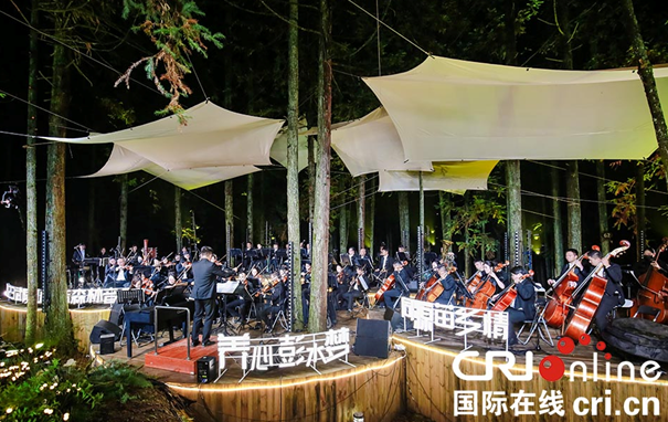 2023武陵山国际森林音乐季在重庆彭水开幕_fororder_微信图片_20230927094134