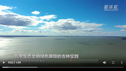吉林新觀察丨築牢生態文明綠色屏障的吉林實踐