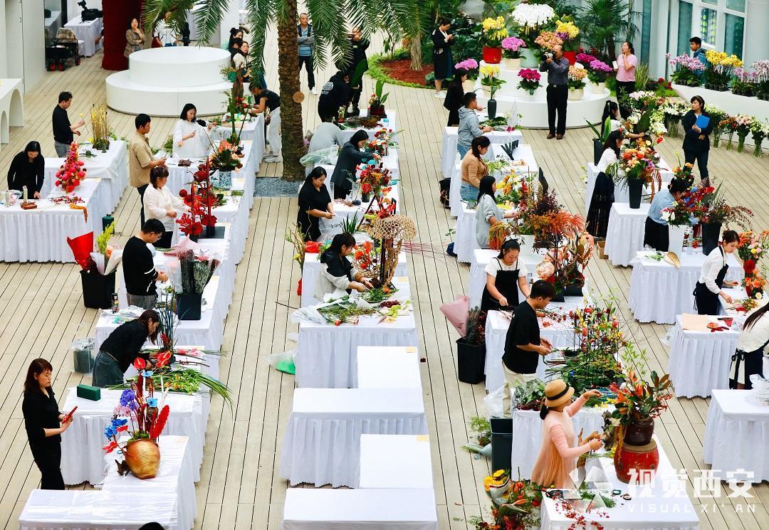 2023陕西长安花卉大会开幕 市民可近距离赏“花开盛宴”