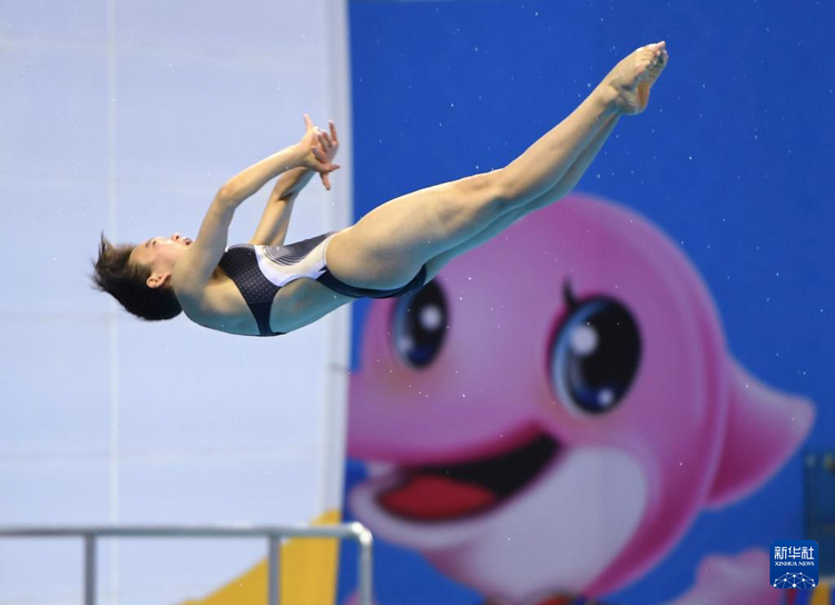 跳水——学青会女子10米台赛况