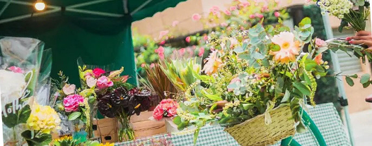 （转载）迎中秋国庆 来“花样绿道”体验“花样”耍法