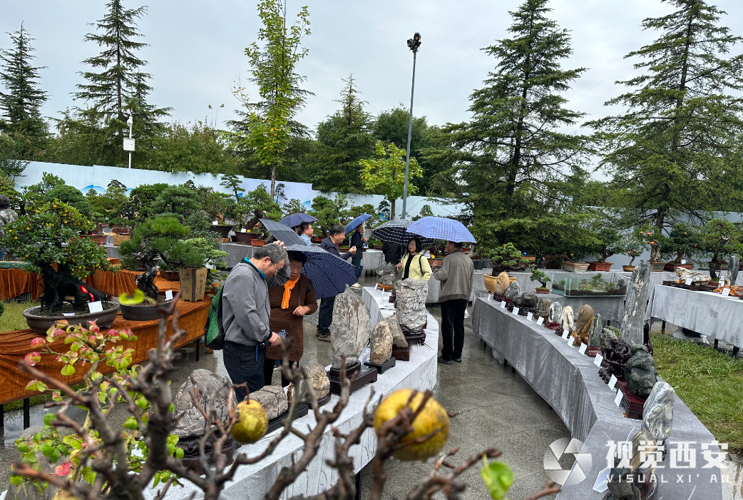 2023陕西长安花卉大会开幕 市民可近距离赏“花开盛宴”