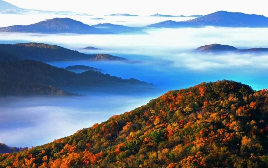 第十届中国·哈尔滨五花山赏秋节暨 第十四届金龙山红叶节盛装启幕_fororder_图片3