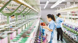 重慶黔江： 農家蠶繭就地加工銷海外