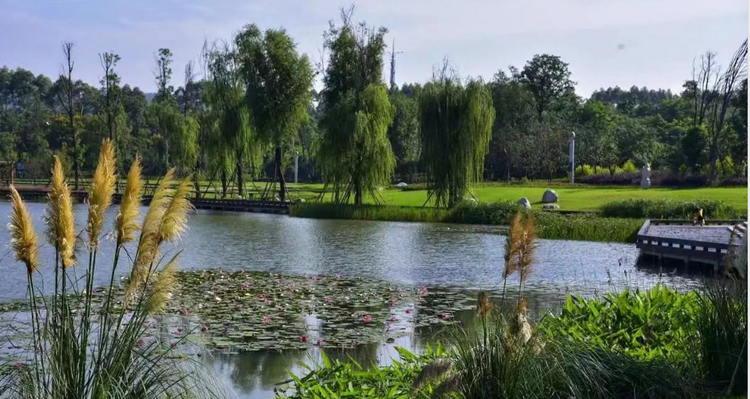 （转载）迎中秋国庆 来“花样绿道”体验“花样”耍法