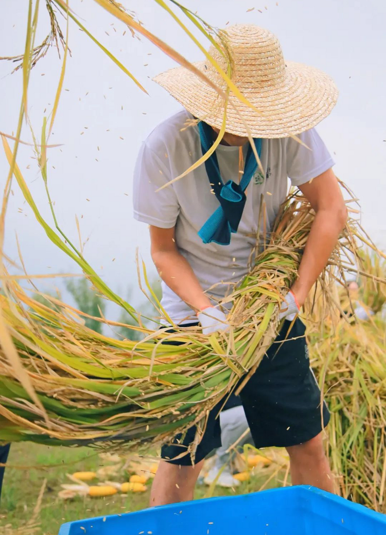 （转载）全环畅玩不停！中秋国庆环城生态区300场活动等你打卡