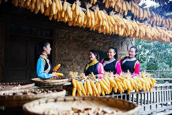 民族团结藏堡秀 雅安市石棉县蟹螺堡子风景秀丽美如画_fororder_丰收时节-供图-石棉县委宣传部