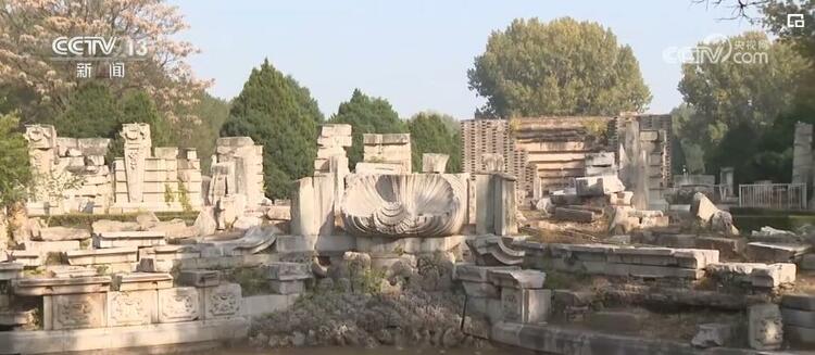 分别了163年后，它们才又重聚！