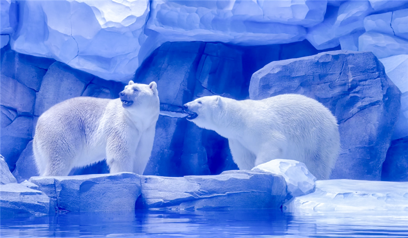郑州海昌海洋旅游度假区正式迎客_fororder_图片8