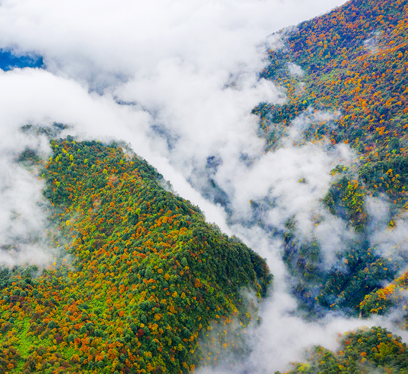 来四川看秋叶飘丹 山河尽染_fororder_瓦屋山景区秋景--摄影-何泽琼