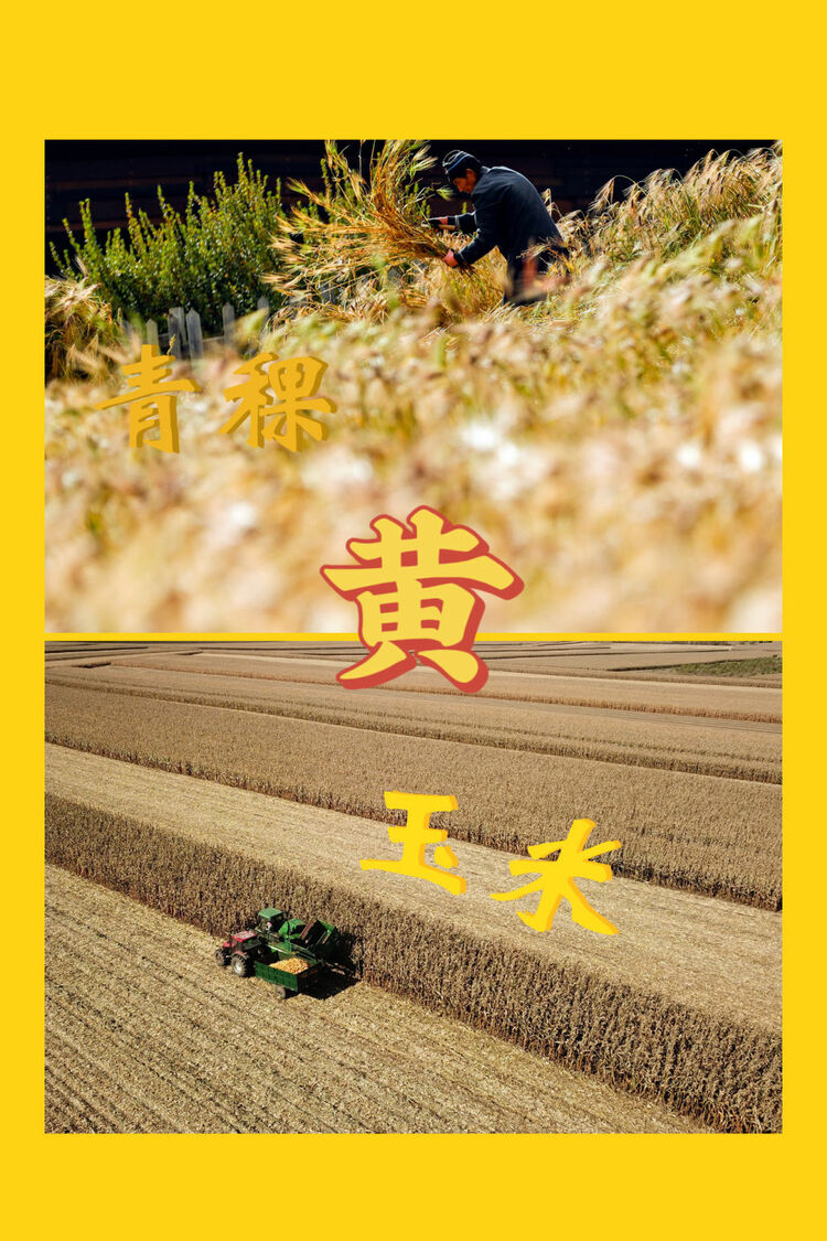 红橙黄绿青蓝紫，一起来看这希望的画卷！