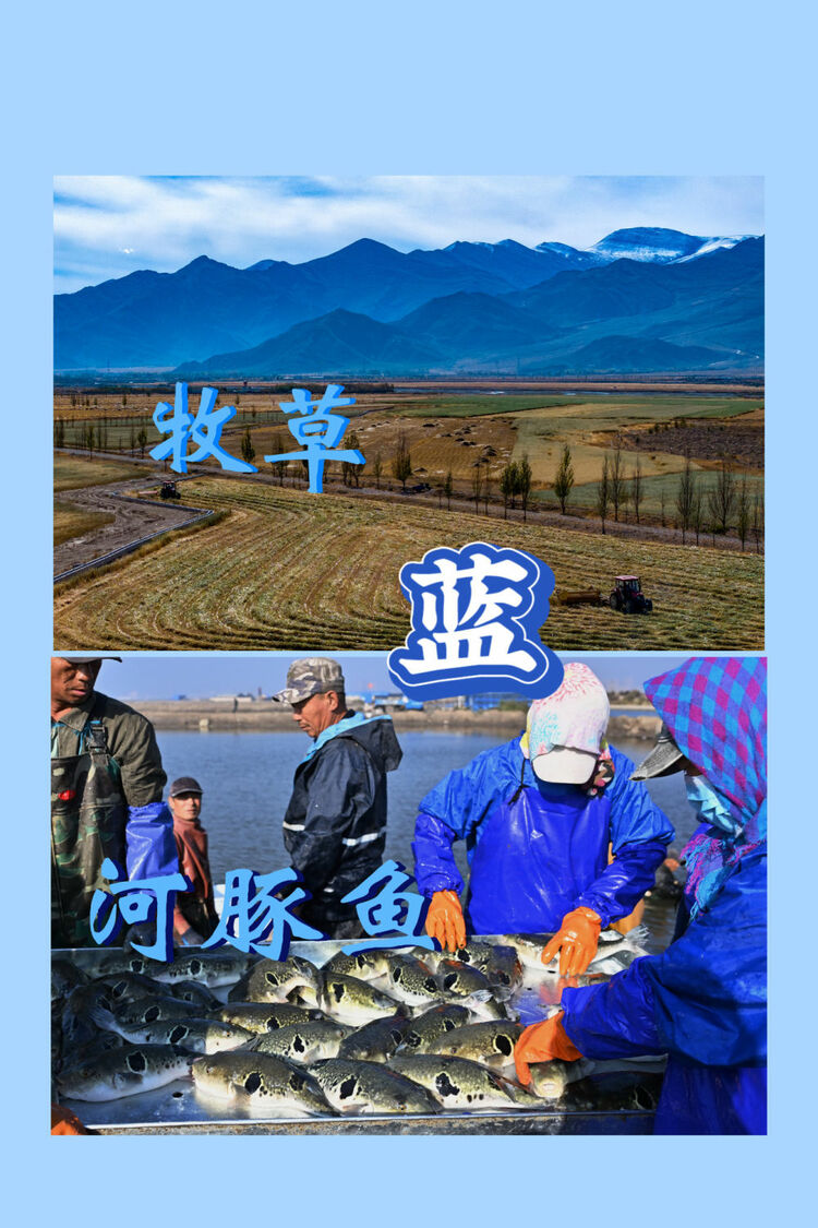红橙黄绿青蓝紫，一起来看这希望的画卷！