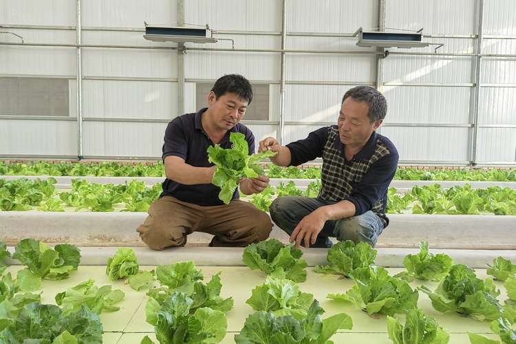 图片默认标题_fororder_003