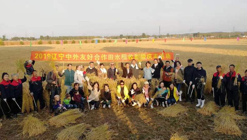 2019遼寧中外友好合作田水稻收割暨慶豐活動在瀋陽舉行