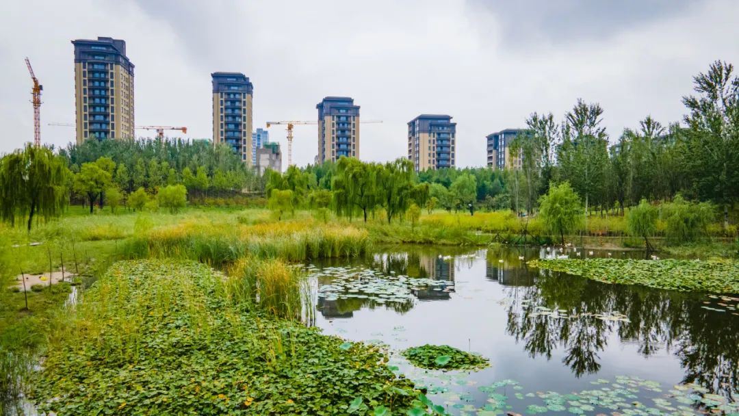 沣西新城：生活便利之城_fororder_图片2