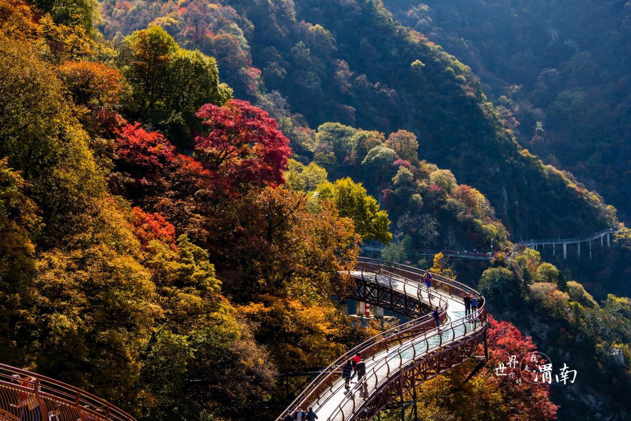 陝西省渭南市：秋色に濃く染まる山林_fororder_图片3