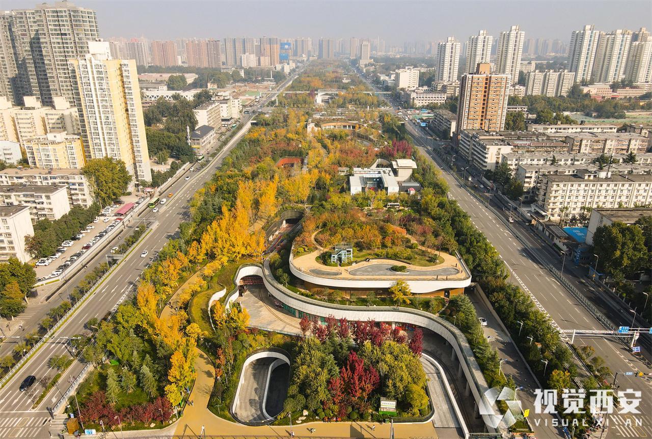 五彩斑斓 幸福林带