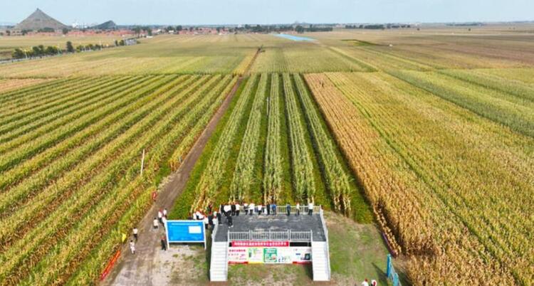 今日新華每日電訊頭版,吉林發展亮點滿滿!