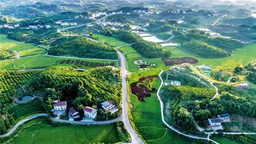 重庆忠县三峡橘乡田园综合体获评全国“绿水青山就是金山银山”实践创新基地