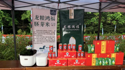 在務實創新中履行使命擔當——黑龍江倍豐農資集團嘉豐有限公司創業興業事跡