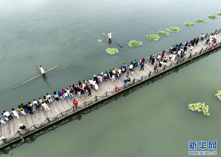 江苏泰州：畅游湿地 乐享假期生活_fororder_20231007_091555_003