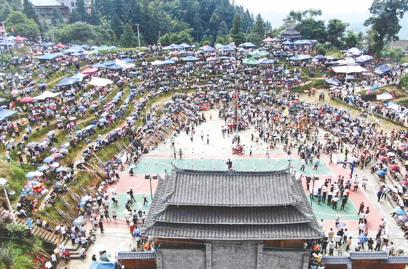 出行方式多點開花 “3C”旅遊出圈