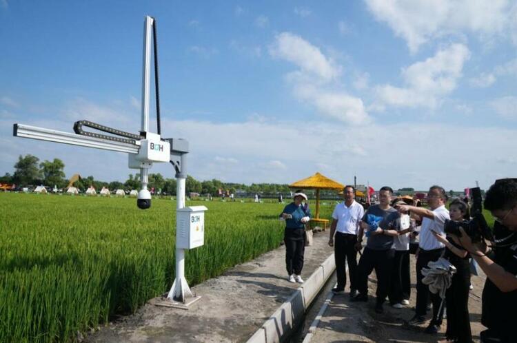 今日新華每日電訊頭版,吉林發展亮點滿滿!