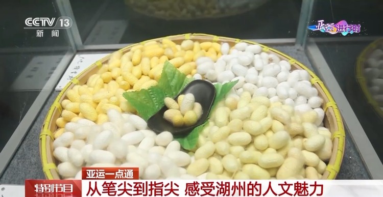 从笔尖到指尖 湖州向世界展示“烟雨染江南”的独特魅力