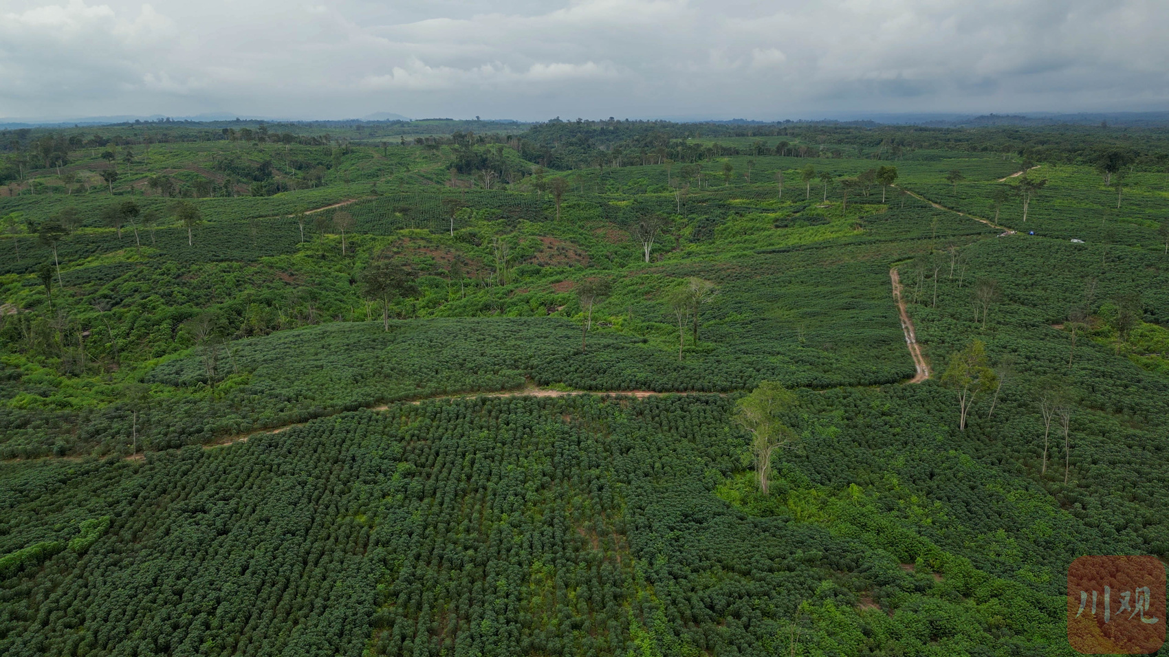 （转载）丝路花正开·老挝丨川企在老挝这样掘“金”