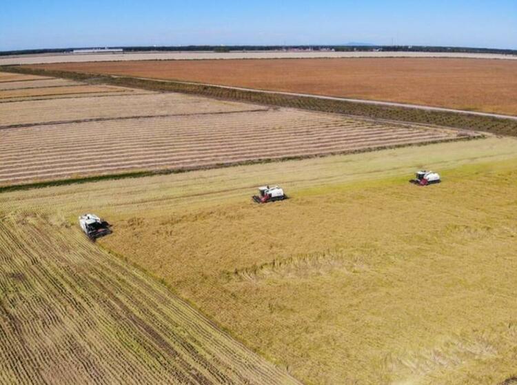 今日新華每日電訊頭版,吉林發展亮點滿滿!
