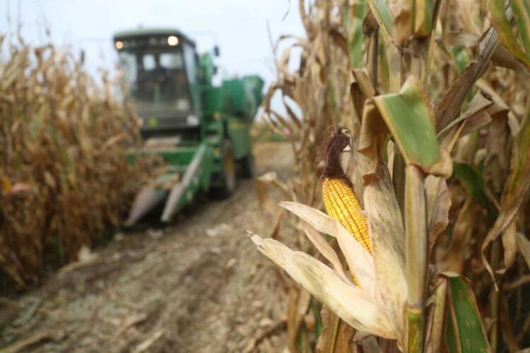 今日新華每日電訊頭版,吉林發展亮點滿滿!
