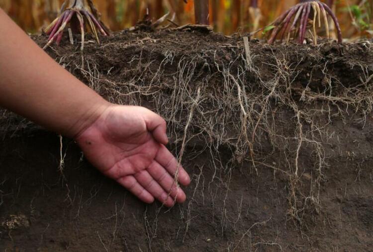 今日新華每日電訊頭版,吉林發展亮點滿滿!