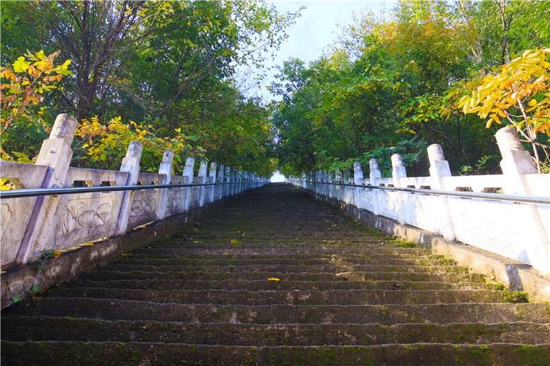 Visiting Chongyang in Golden Autumn, Beauty in Xixia: 2023 Chongyang Cultural Tourism Festival Opened_fororder_3