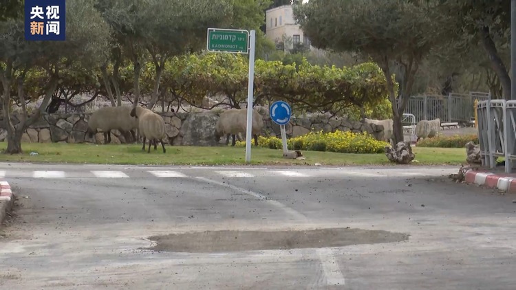 总台记者探访丨特拉维夫与耶路撒冷等地遭火箭弹袭击 部分建筑及道路损坏
