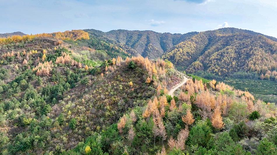 【原创】天水秦州：秋意正浓时 诗画入秦_fororder_图片3